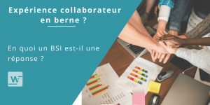 BSI EXPÉRIENCE COLLABORATUEUR