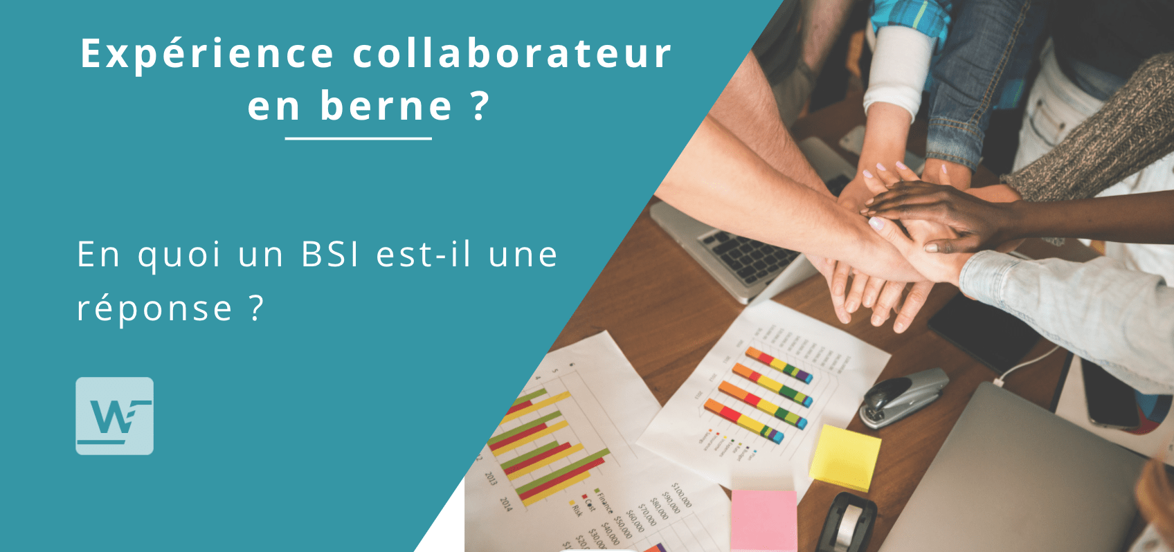 BSI EXPÉRIENCE COLLABORATUEUR