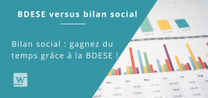 bdese bilan social