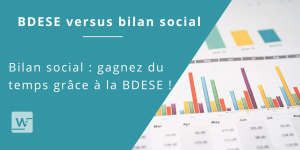 bdese bilan social